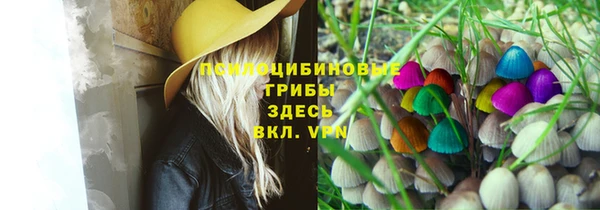 амф Мегион