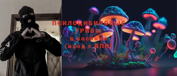 амф Мегион