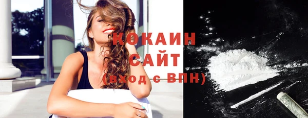 СК Медвежьегорск