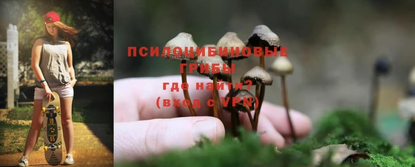 амф Мегион