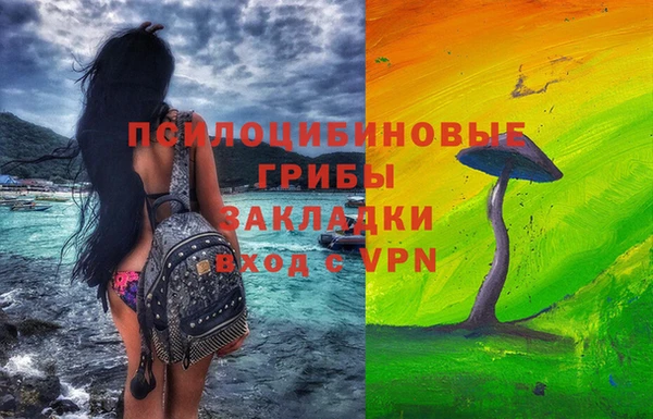 амф Мегион