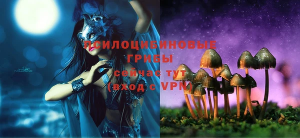 амф Мегион