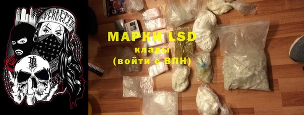 СК Медвежьегорск