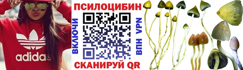 купить закладку  hydra рабочий сайт  Псилоцибиновые грибы ЛСД  Чайковский 