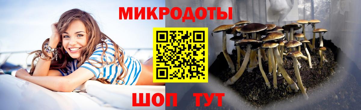 Псилоцибиновые грибы ЛСД  хочу наркоту  Чайковский 