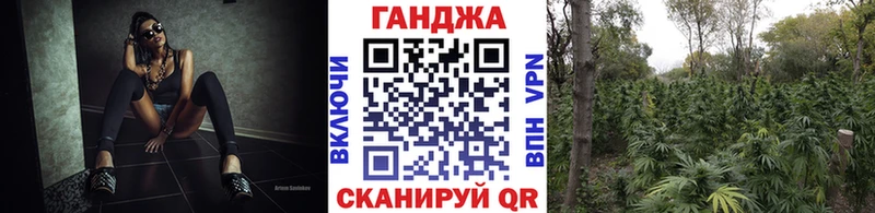 где можно купить наркотик  ОМГ ОМГ ссылка  Конопля Amnesia  Чайковский 